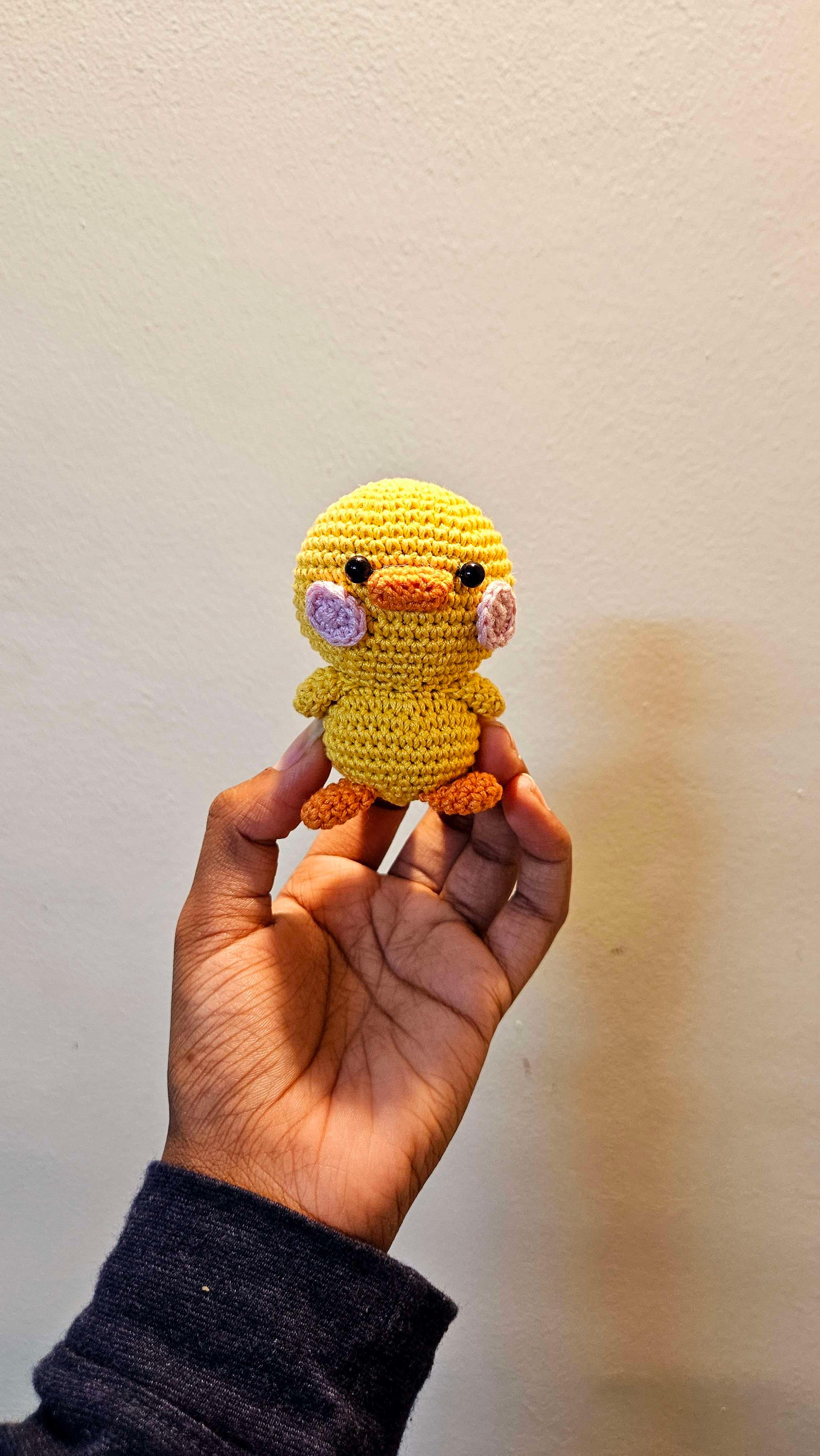 Duck - Image 1