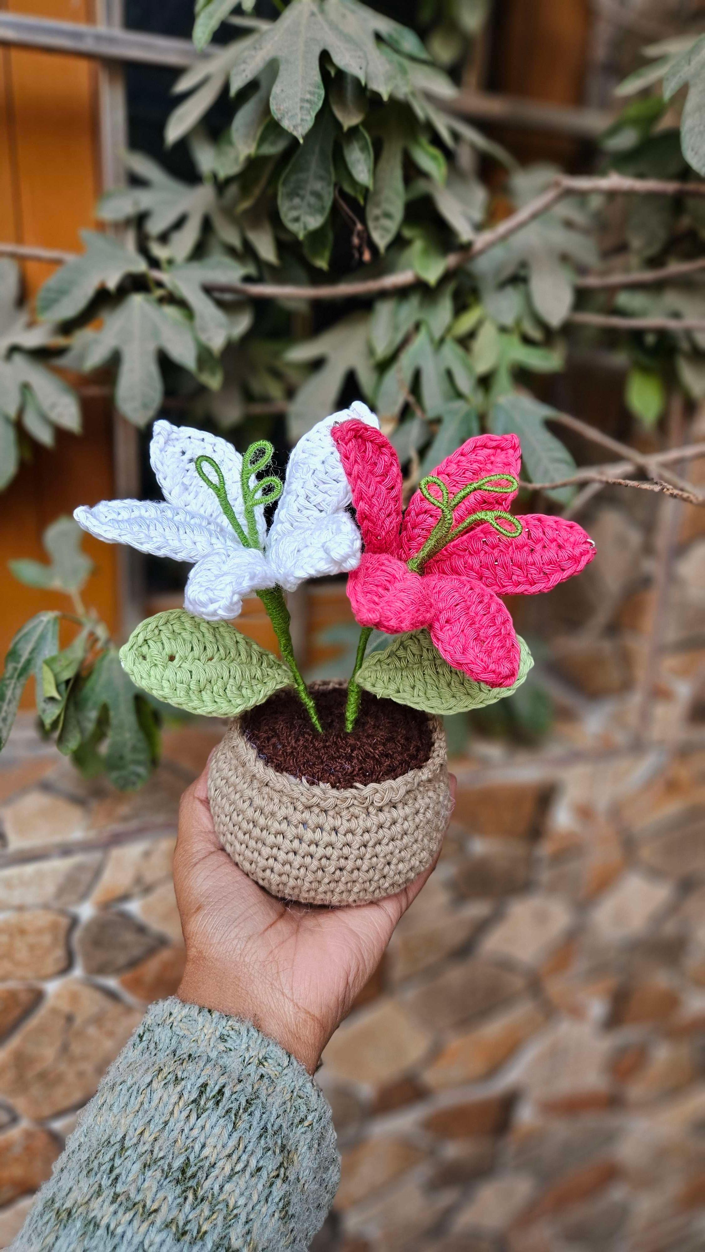 Dual lily pot - Image 1