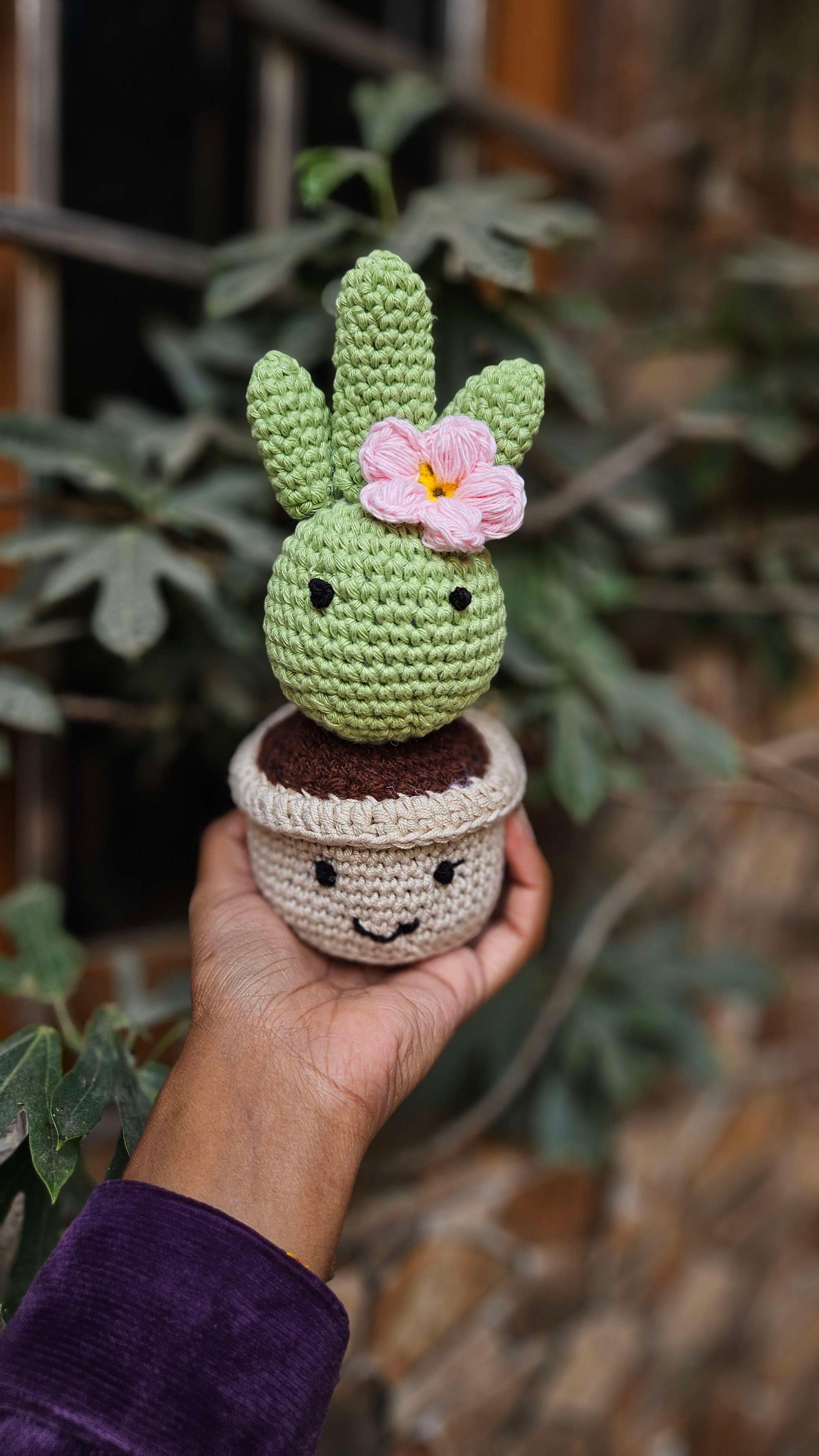 Cactus pot - Image 1