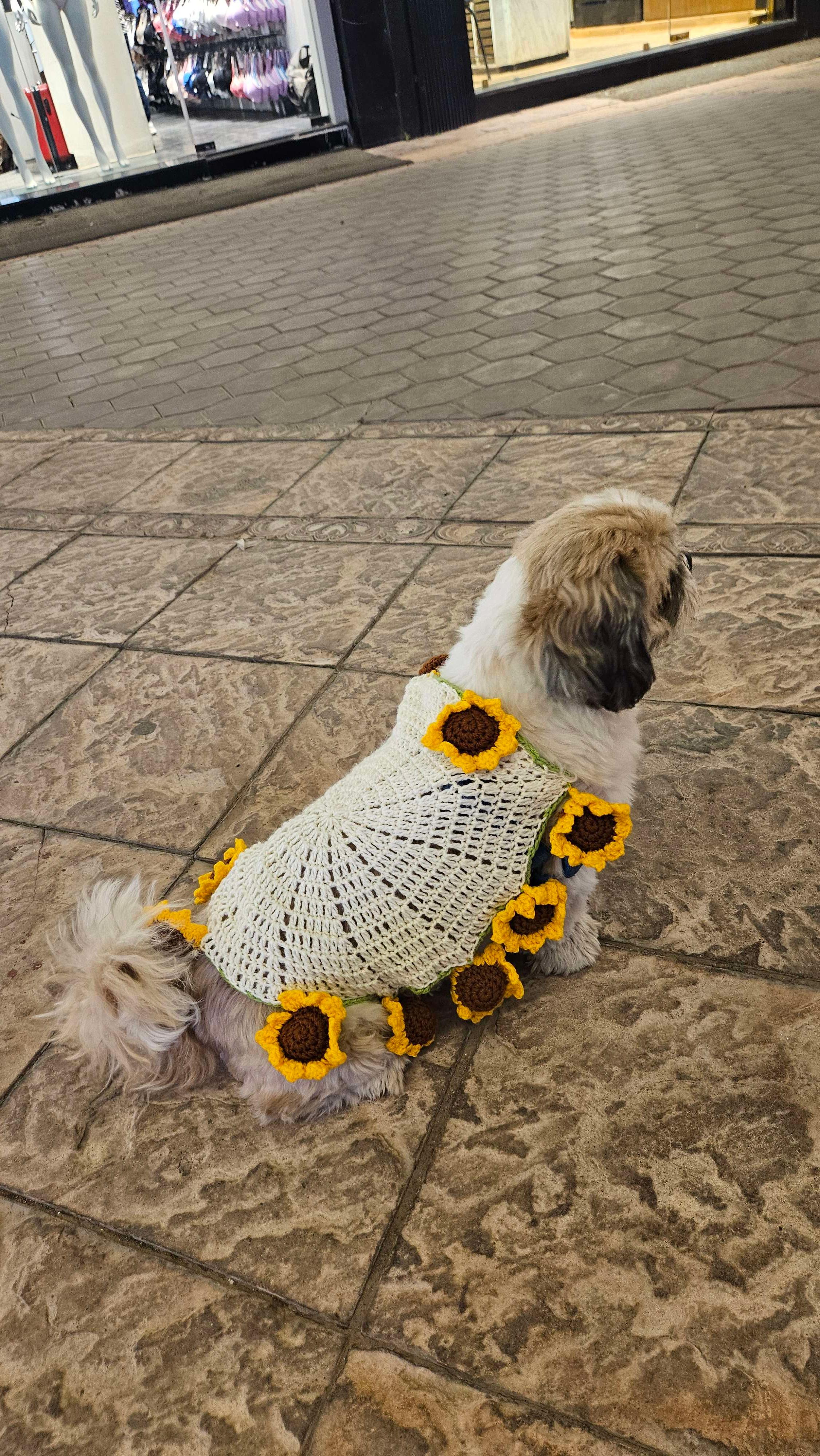 Sunflower blanket bouquet - Thumbnail 3