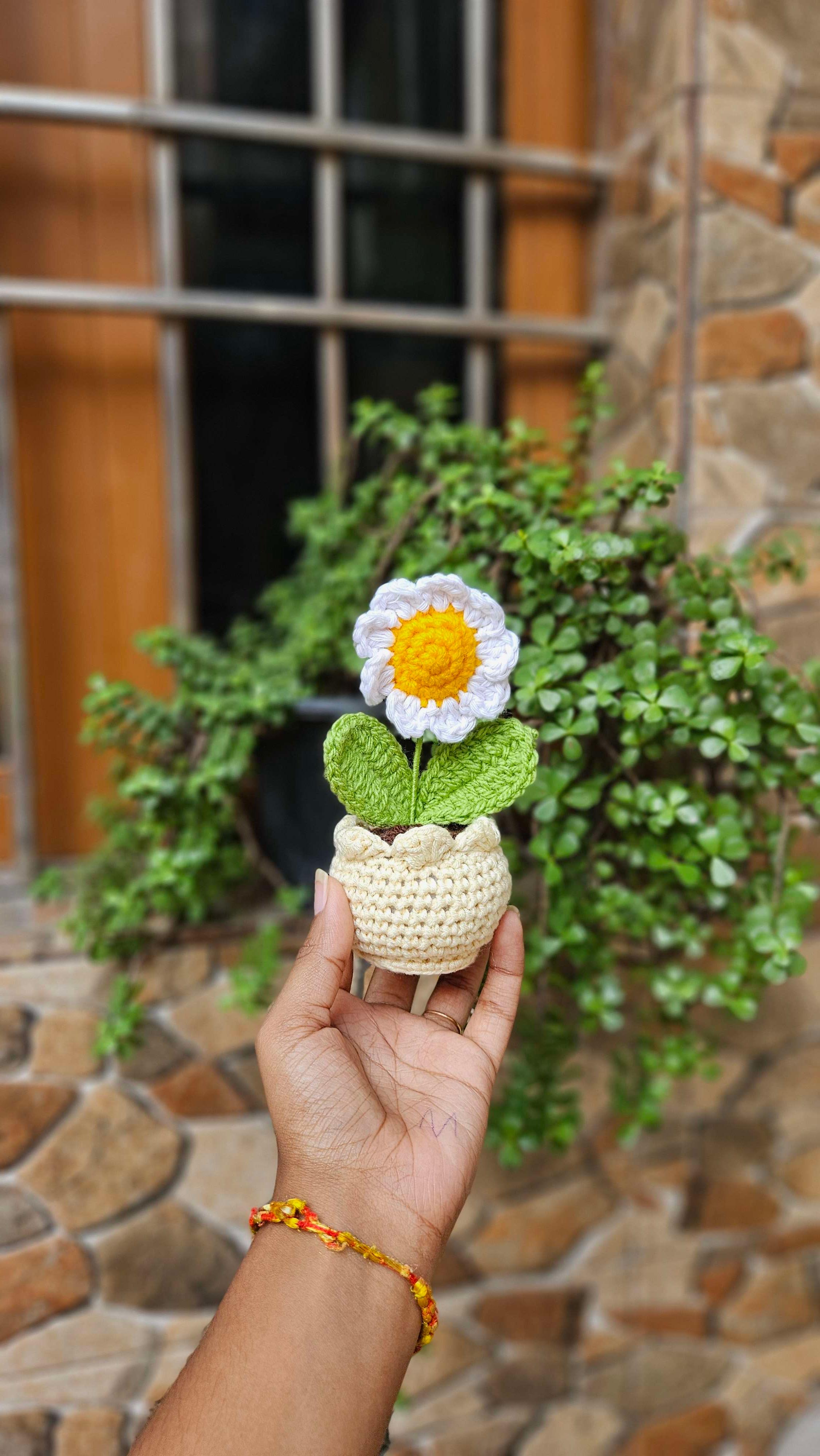 Mini White daisy pot - Image 1